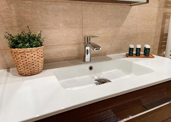 Daire Familiar En El Centro De Con Terraza Benasque