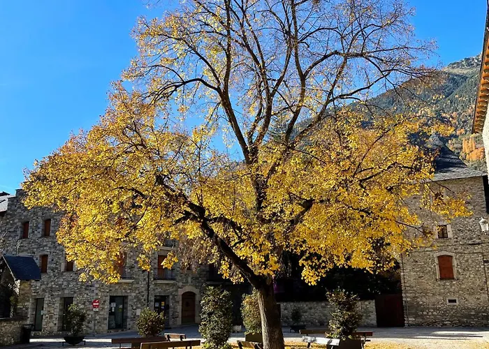Daire Familiar En El Centro De Con Terraza